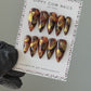 3D Tortoise | 3D Gold | Custom Press On Nails